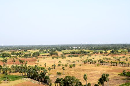 Thirumalapuram rock cut temple