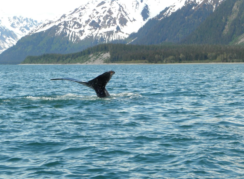 20120603-FS-Tongass-WZ-012