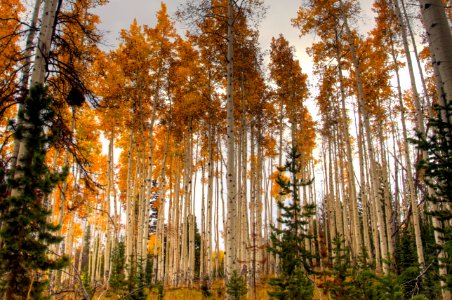 20140930-FS-Uinta-EG-001