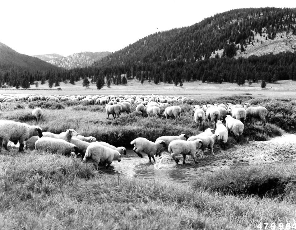 195508XX-FS-Boise-BWM-479964
