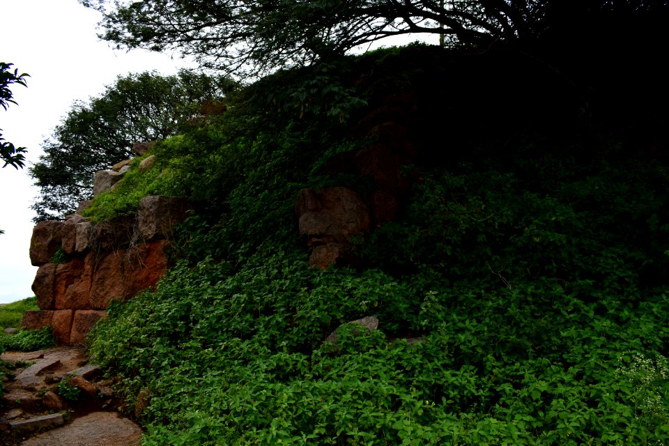 Nijagal hills Karnataka