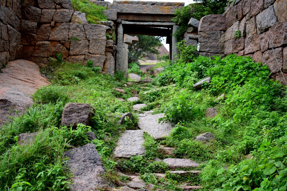 Nijagal hills Karnataka