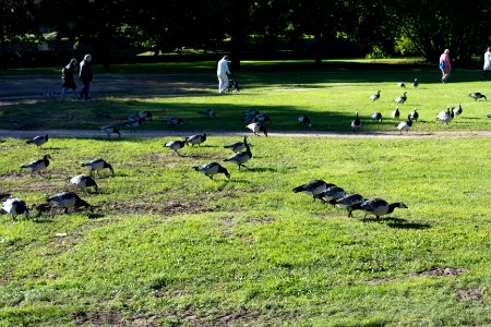 20160902-DSC 0039