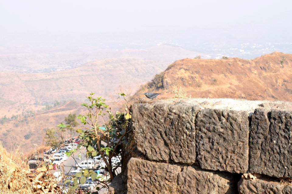 Sinhagad fort Pune Maharashtra