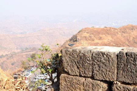 Sinhagad fort Pune Maharashtra