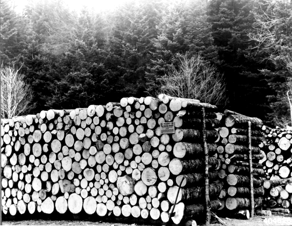 192811XX-FS-White Mt.-HEA-404626