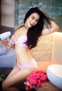Diệp lâm anh 1