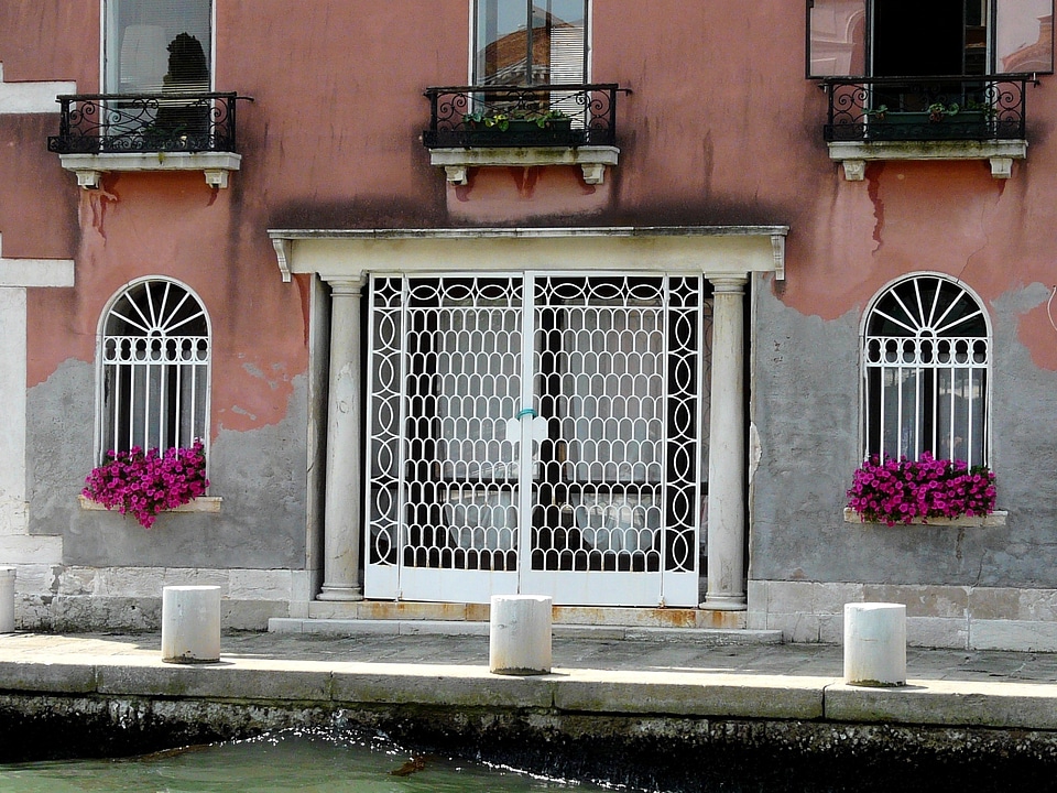 Venice white limit running-plant