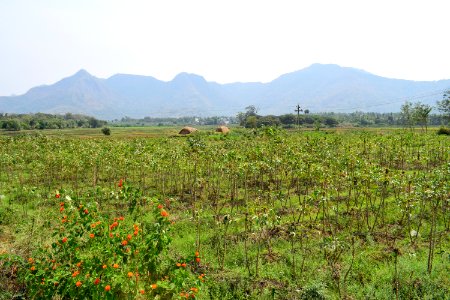 Kulasekharanathar temple Tenkasi Tamil Nadu