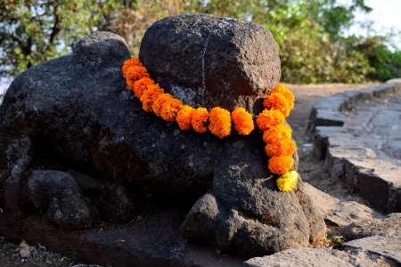 Sinhagad fort Pune Maharashtra