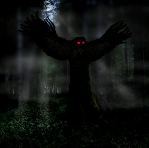 mothman theory