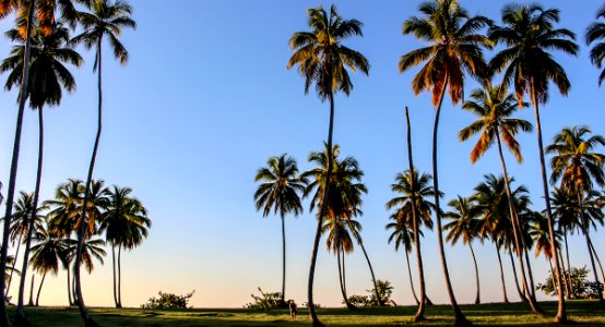 Palm Beach