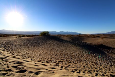 Mesquite Flats