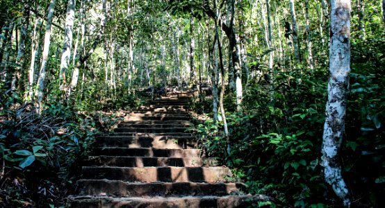 Stairway to Cernunnos