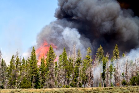 20160731-FS-Shoshone-KH-028.JPG