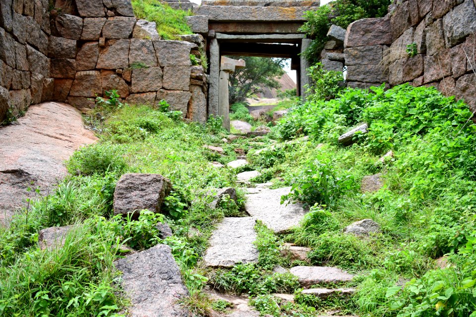 Nijagal hills Karnataka