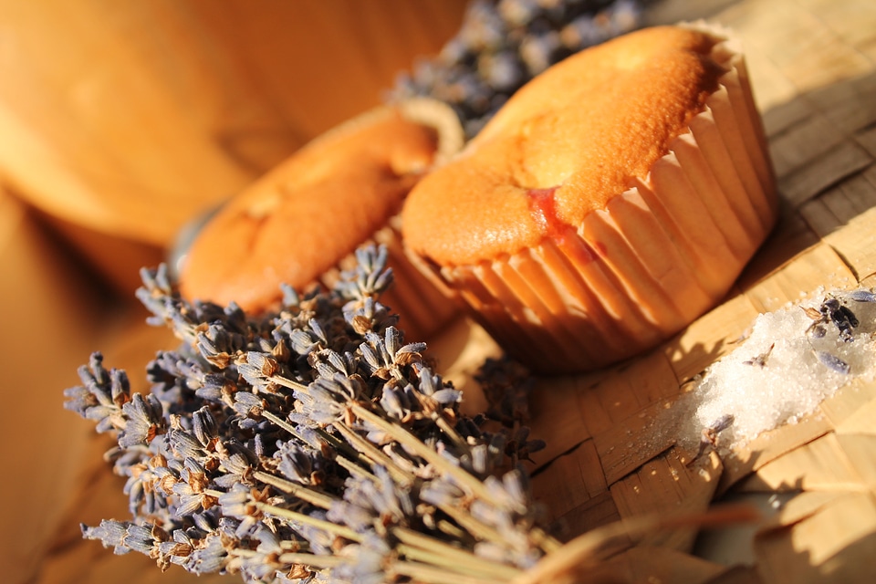 Lavender muffin cake