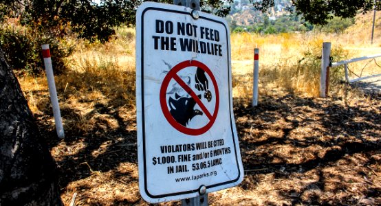 Do not feed the wild