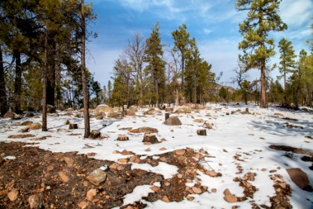 20181204-fs-kaibab-lsc-0032 47095512272 o