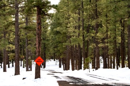 20181204-fs-kaibab-lsc-0700 46234150855 o