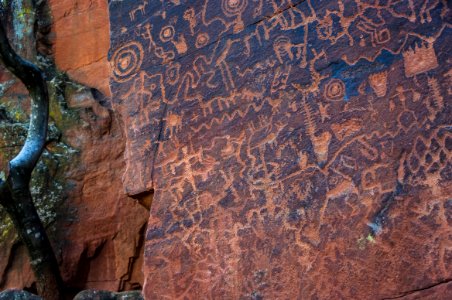 20160325-FS-Coconino-DLS-003