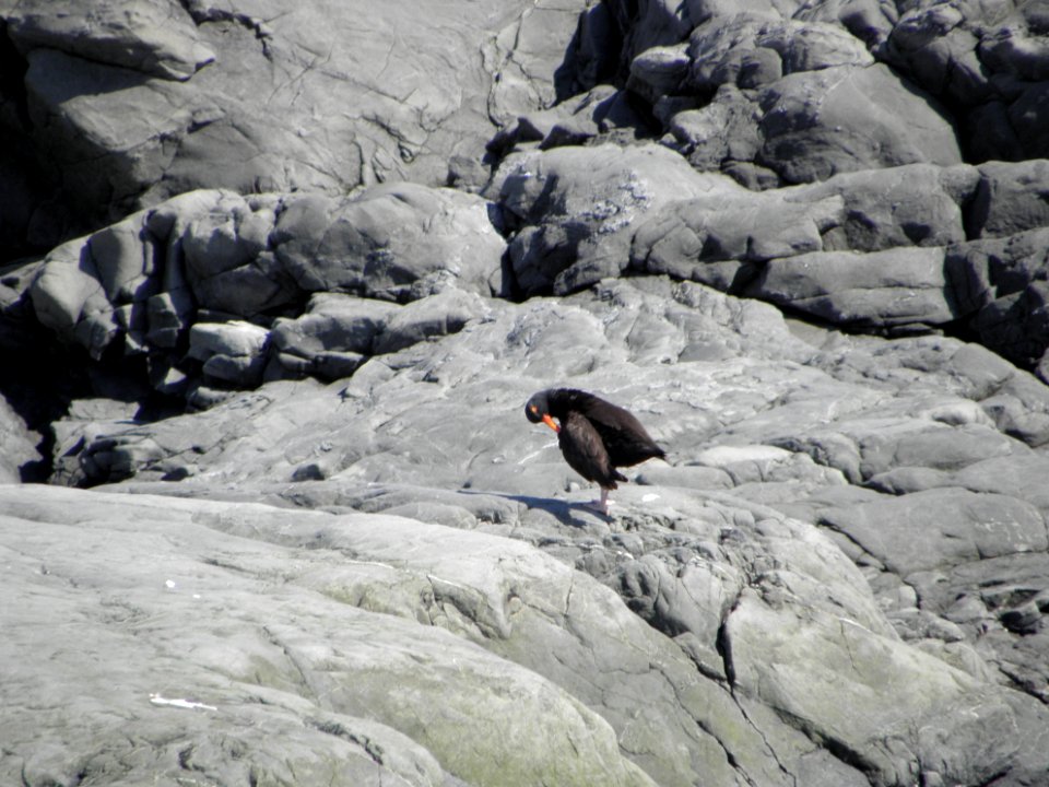 20120603-FS—Tongass-WZ-001