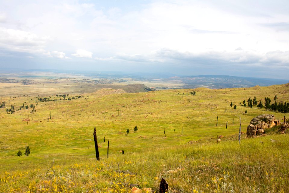 Near Elk Mountain Lookout