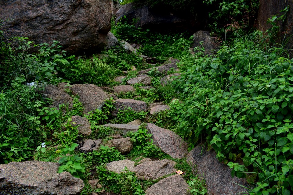 Nijagal hills Karnataka