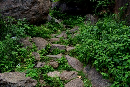 Nijagal hills Karnataka