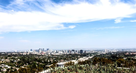 Cactus garden view over LA