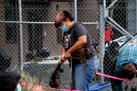 tlingitpotatoharvest-TongassNF-2020003-001