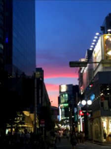 Shinjuku night photo