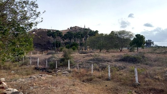 Thirumalapuram rock cut temple