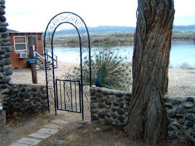 Walters Ferry, 2009