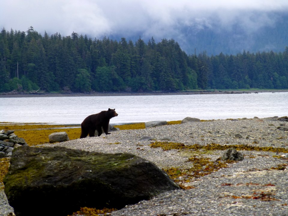 20120627-FS-Tongass-DM-010