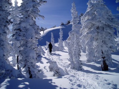 20080101-FS-Uinta-DW-001 photo