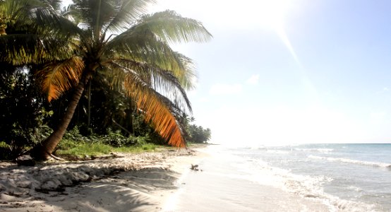 Virgin Beach