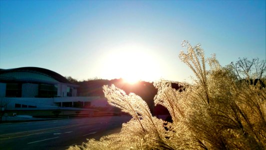 天一國7年 天曆 10月24日 (November 20, 2019) sunset 16:21PM