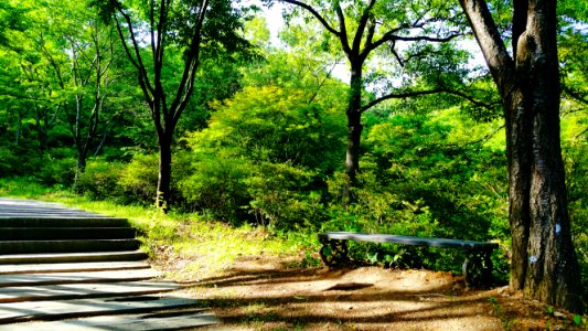 May 29, 2019 - 7:56AM light and shadow