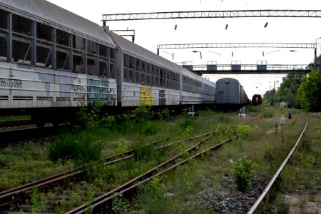 DSC 0116.jpg