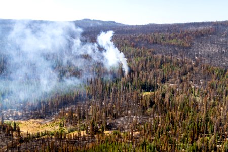 20160802-FS-Shoshone-KH-010.JPG