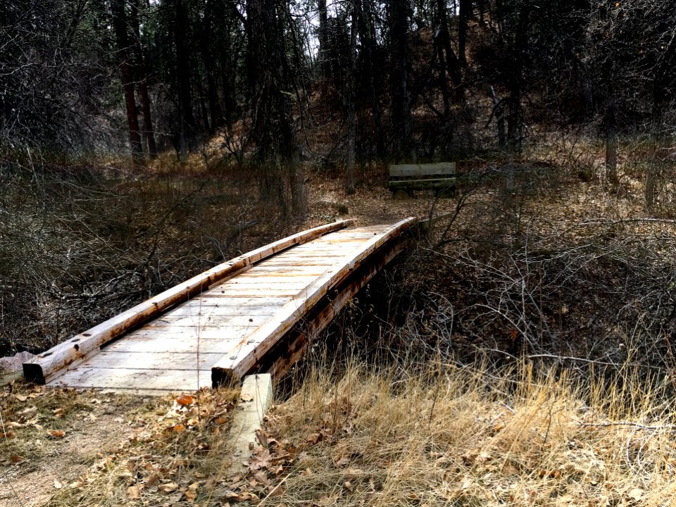 Dugout Gulch Botanical Trail