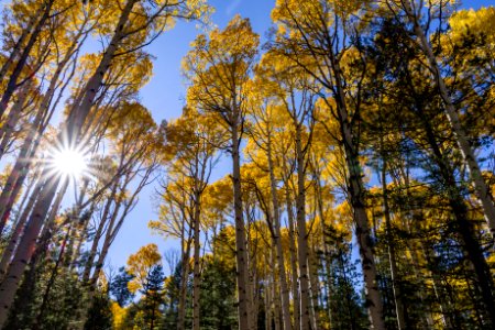 20171004-FS-Coconino-DLS-001