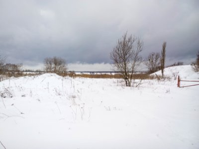 Прогулка 04 12 2016