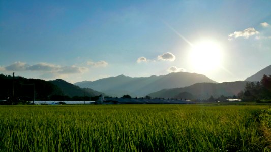 천일국 8년 천력 7월17일　天一國 8年 天曆 7月17日 (September 04, 2020) sunrise 7:08AM　文鮮明 天地人참父母 天宙聖和8周年
