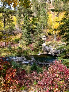 Spearfish Canyon Fall Colors
