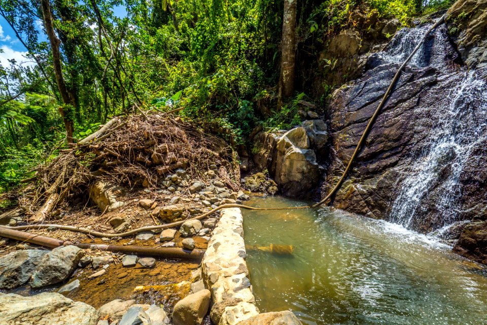 20180322-FS-Yunque-PJK-005
