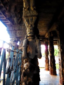 Varadharaja Perumal temple Kanchipuram TamilNadu