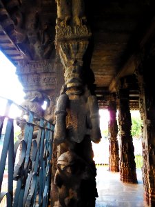 Varadharaja Perumal temple Kanchipuram TamilNadu photo