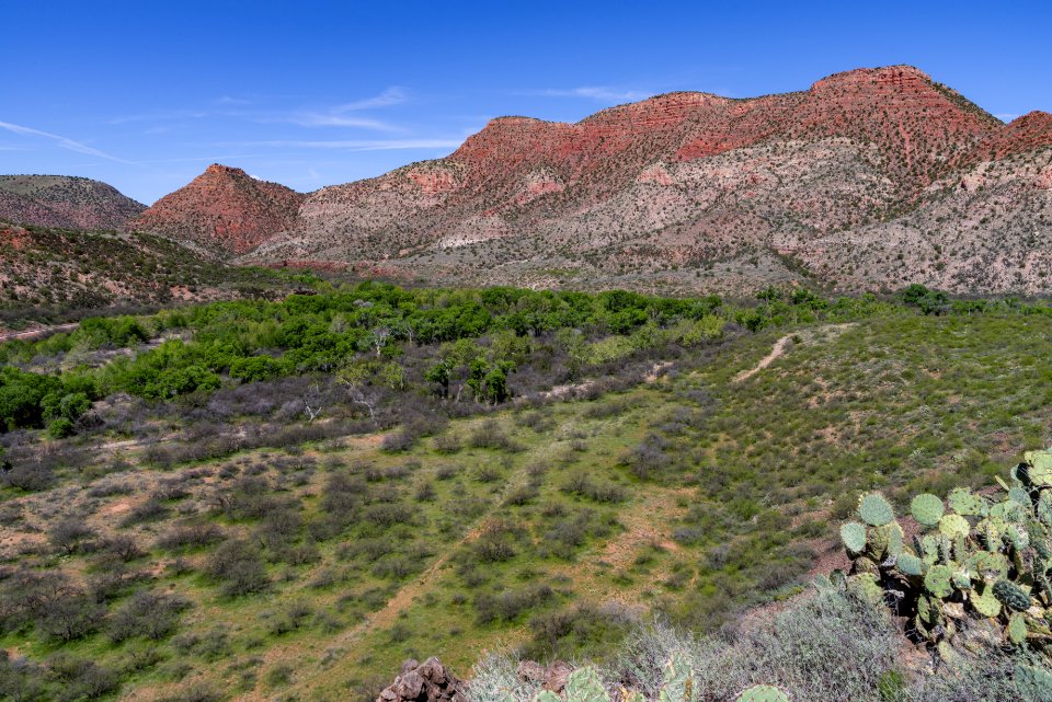 20170402-FS-Coconino-DLS-001